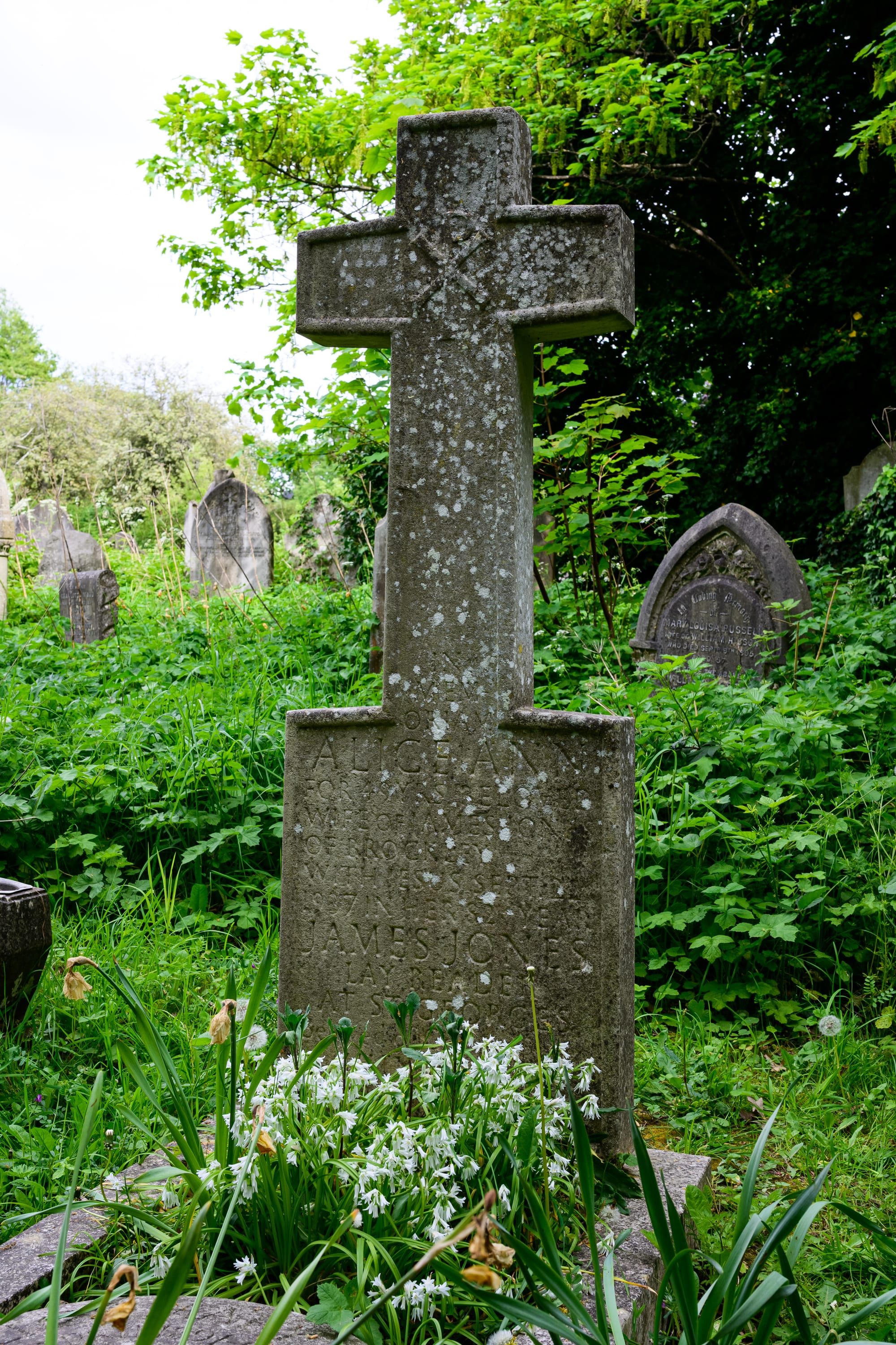 A grave with a cross and three-cornered leeks growing out of it.